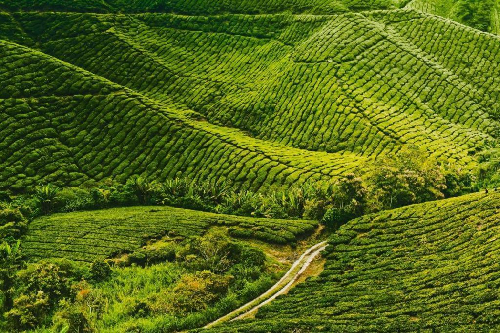 Butik Ks Hotel Cameron Highlands